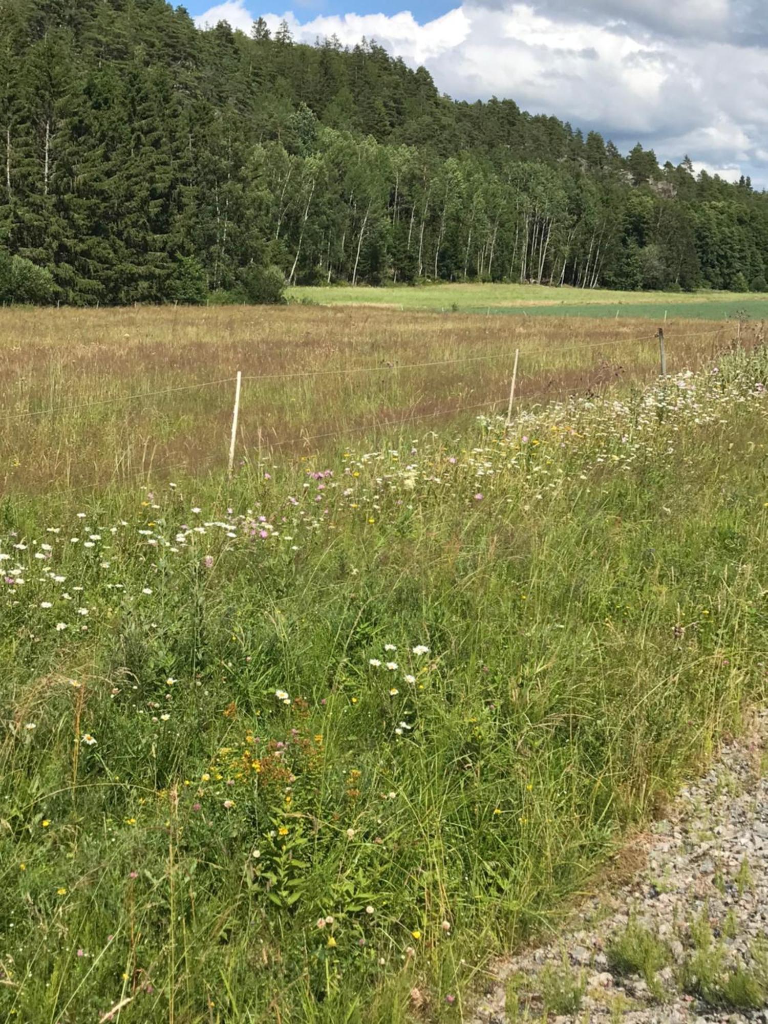 Charmigt Aeldre Hus, Laddbox 22 Kw, 5 Bil-Minuter Till Bad Strömstad エクステリア 写真